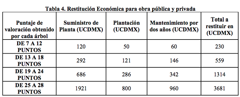 Cuánto cobran en la CDMX por podar o quitar un árbol? | Capital México