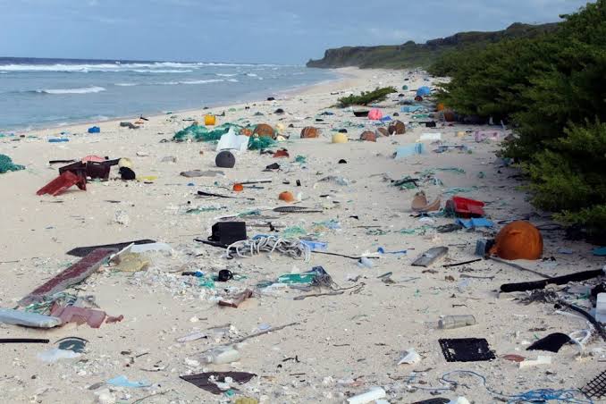Playas contaminadas Foto: Internet