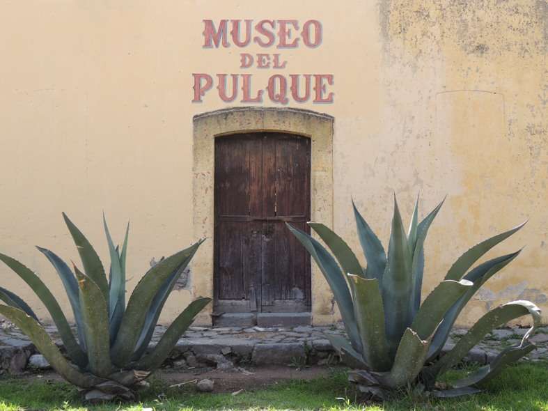 Museo del pulque Foto: Internet