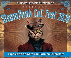 ‘Steampunk cat fest 2020’ Foto: Internet
