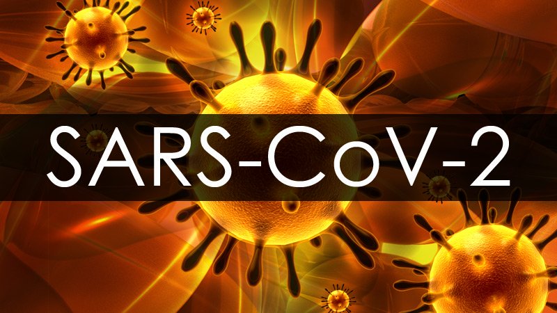 SARS-CoV-2 Foto: Internet