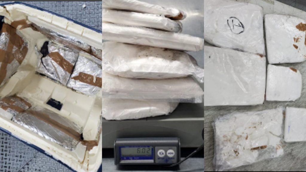 SEDENA y GN aseguraron 6 kilos de cocaína en el Aeropuerto Intercontinental de Querétaro