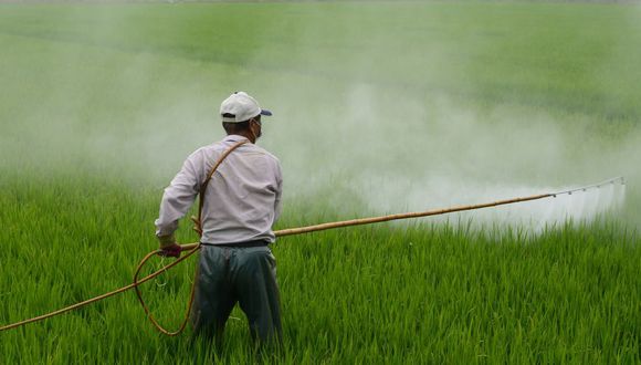 PRI pide al gobierno informe sobre uso del herbicida glifosato; dicen causa daños a la salud