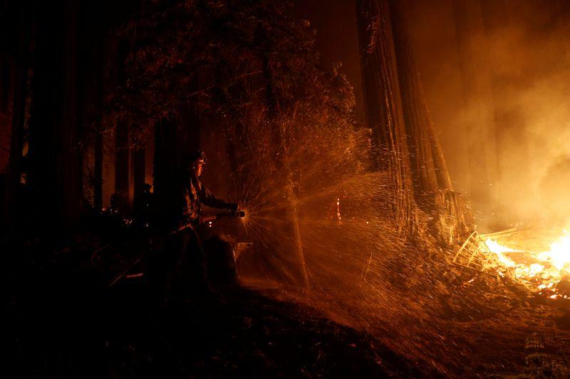 California declaró estado de emergencia por incendios forestales