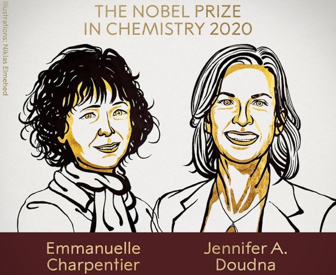 Desarrollan métodos para curar enfermedades hereditarias ganan Premio Nobel de Química