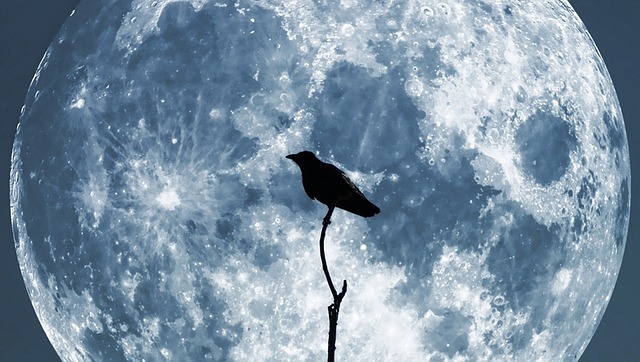 La "Luna Azul" que se verá este 31 de octubre, no se repetirá hasta 2023