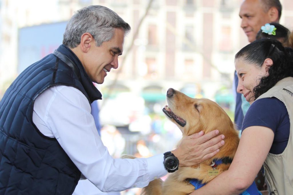 Miguel A. Mancera busca garantizar libre acceso de perros de asistencia a espacios públicos y privados