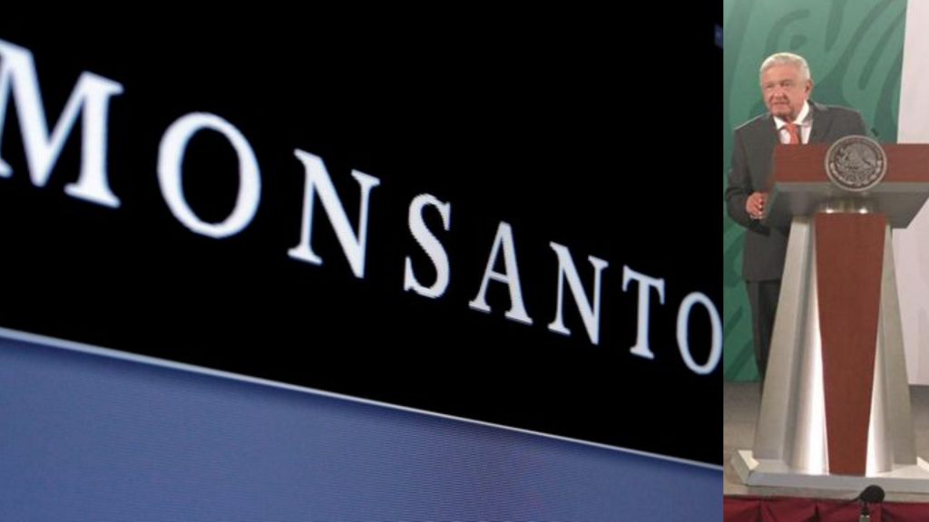 AMLO critica amparo a Monsanto