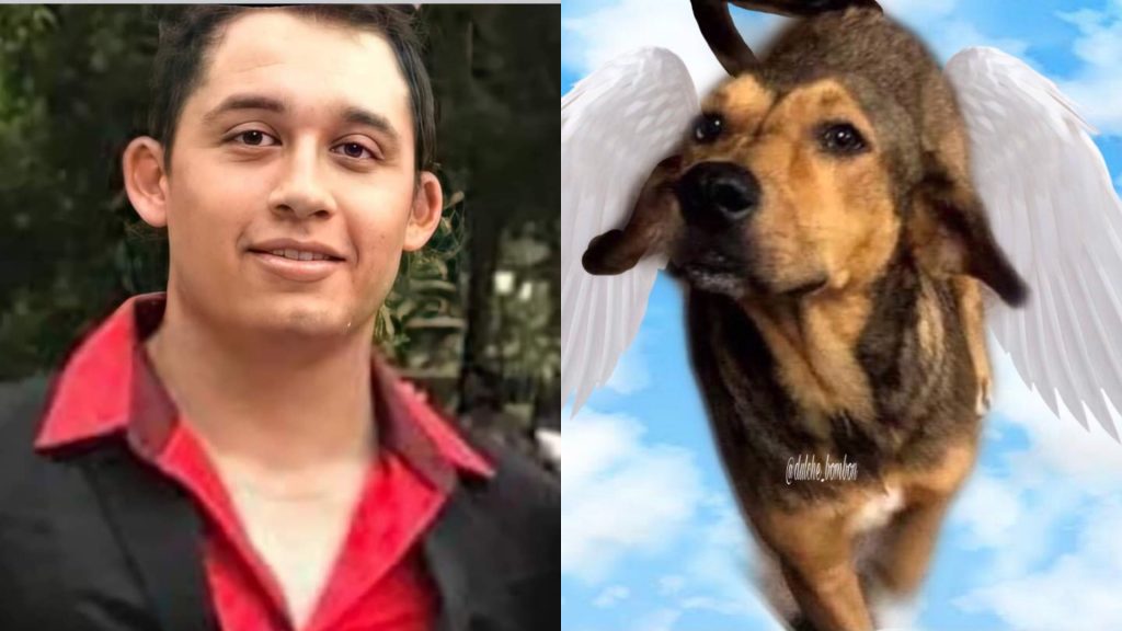 José “N”, asesino del perrito “Rodolfo Corazón” es encarcelado en Sinaloa