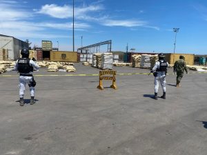 Semar, Aduanas, GN y FGR aseguraron más de 711 kilogramos de narcóticos en Michoacán y Sonora