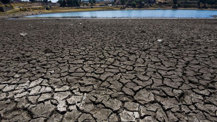 sequía Foto: AS México