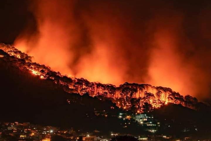 Inmenso incendio consumió bosque en Uruapan del Progreso, Michoacán
