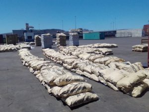 Semar, Aduanas, GN y FGR aseguraron más de 711 kilogramos de narcóticos en Michoacán y Sonora