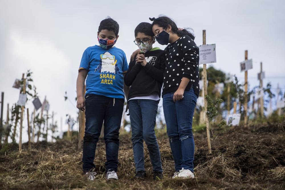 Plantan árboles con cenizas de víctimas de COVID en Colombia