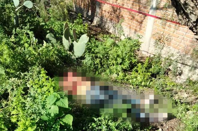 Asesinan a niña de 12 años y dejan su cadáver cerca de su casa en Edomex Foto: Internet