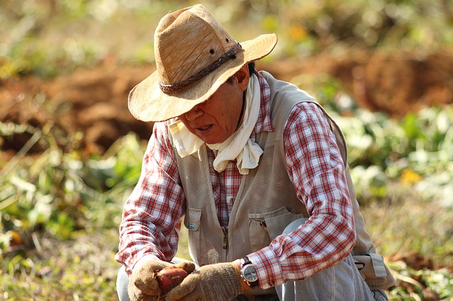 agricultor mexicano