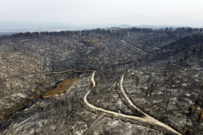 Fuego en Grecia, una gran catástrofe ecológica, dice líder