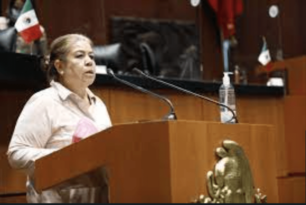 Urge senadora de Morena eliminar grasas trans en alimentos Foto: Internet