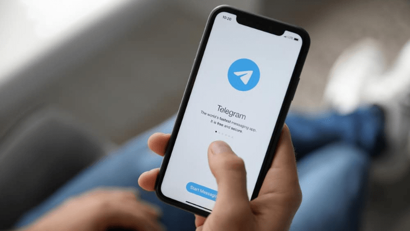 “Telegram", aplicación para que queretanos conozcan detalles del regreso a clases