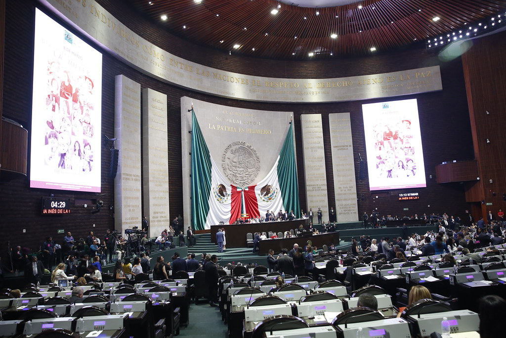 Con goyas, diputados de oposición expresan apoyo a la UNAM ante criticas presidenciales Foto: Internet