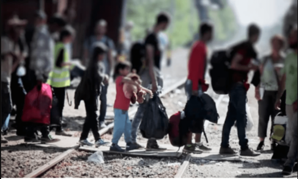 INM localizó a 33 mil 142 personas migrantes extranjeros en condición irregular en Tamaulipas Foto: Internet