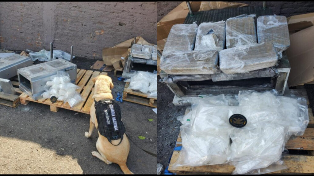 Binomios caninos de la GN localizaron en Sinaloa 28 kilos de metanfetamina