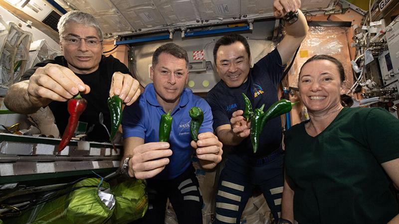 Astronautas de SpaceX usarán pañales de regreso a casa Foto: AP