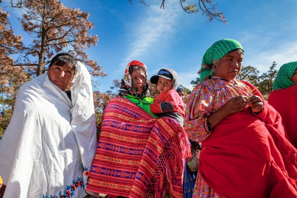 Senado aprueba ley que protege comunidades indígenas y afromexicanas Foto: Internet