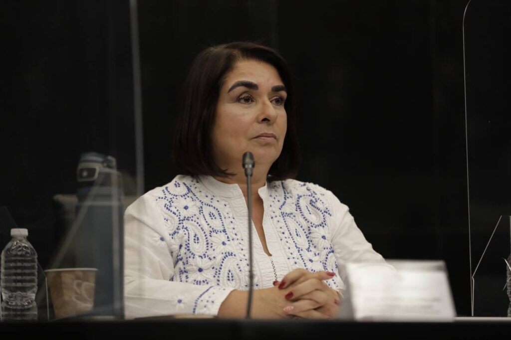 Propone senadora de Morena prohibir creación de programas sociales durante elecciones