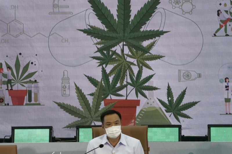 Tailandia da pasos hacia la despenalización de la marihuana Foto: AP