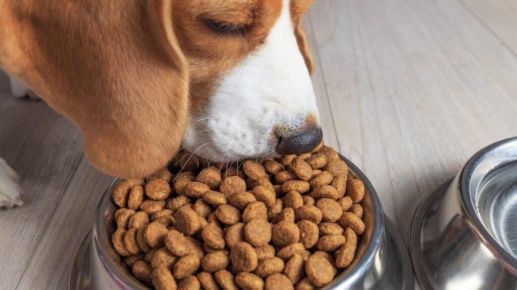 Buscan senadores tasa cero de IVA para papel sanitario y alimento de mascotas Foto: Internet
