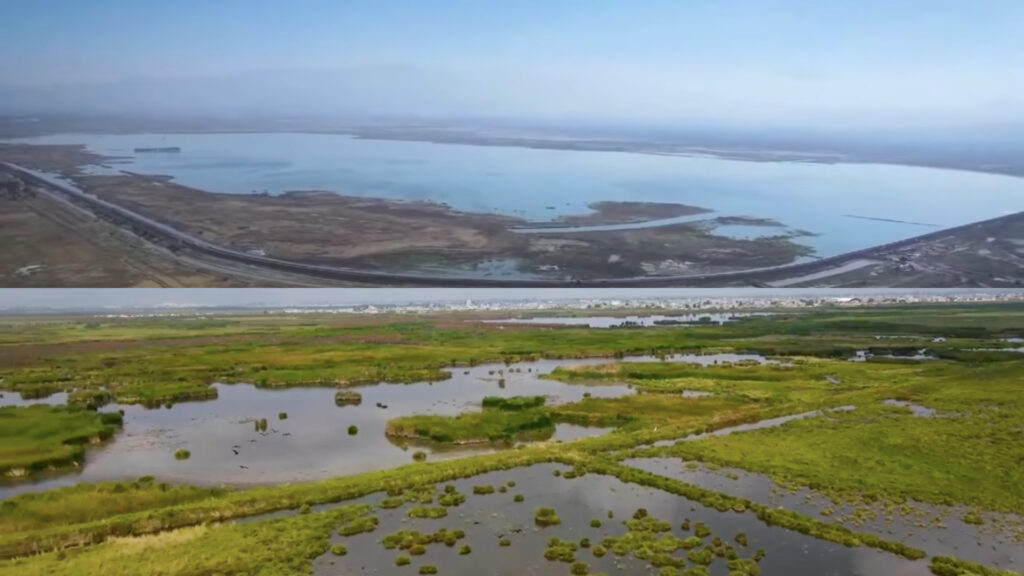 Decretan Área Nacional Protegida el Lago de Texcoco