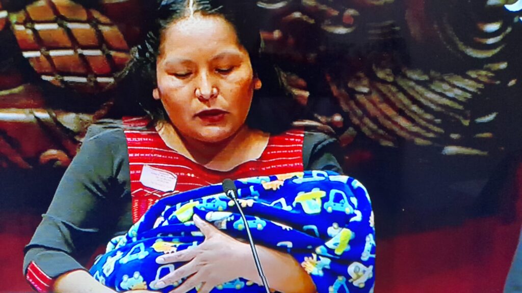 Cimbran al Senado quejas de mujeres indígenas Foto: Internet