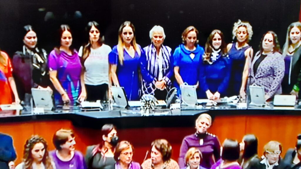 Senadoras levantan la voz en contra de la violencia en contra de la mujer Foto: Internet