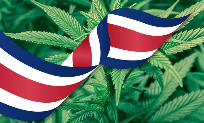 Costa Rica da luz verde a marihuana medicinal