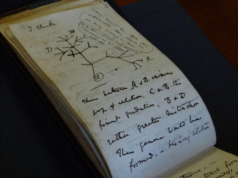 Devuelven dos cuadernos de Darwin desaparecidos hace 20 años Foto: AP