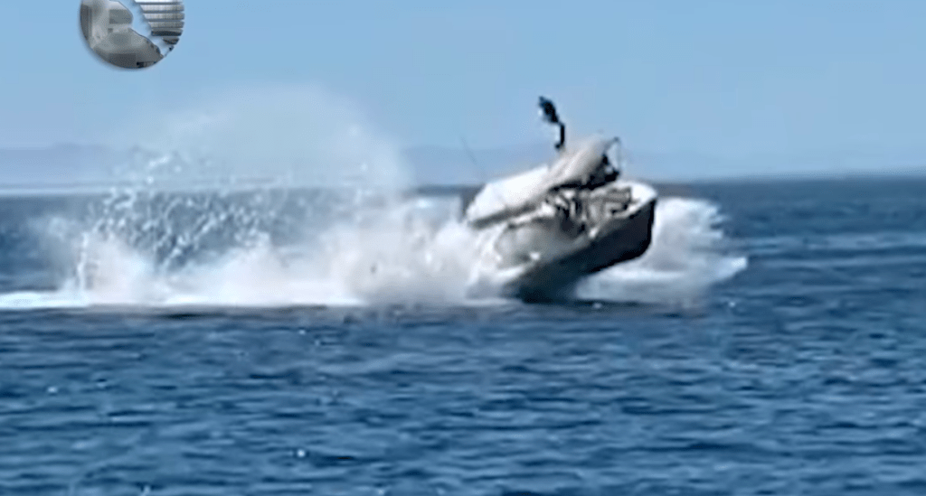 Bote choca con ballena, hay 6 lesionados en BCS (Video)