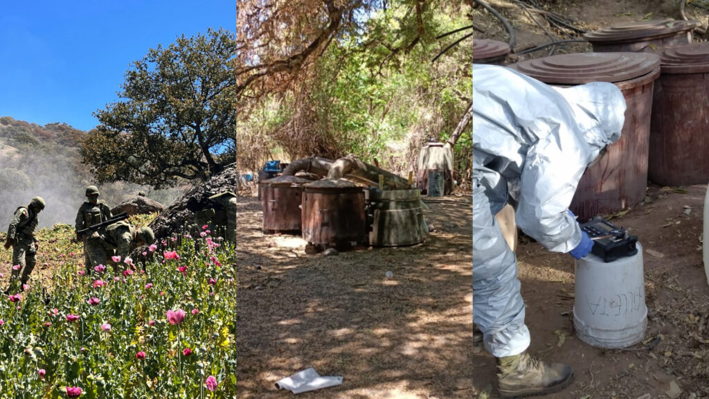 Sedena localizó 6 narcolaboratorios en Sinaloa y Michoacán; destruyen 10 hectáreas de amapola en Chihuahua