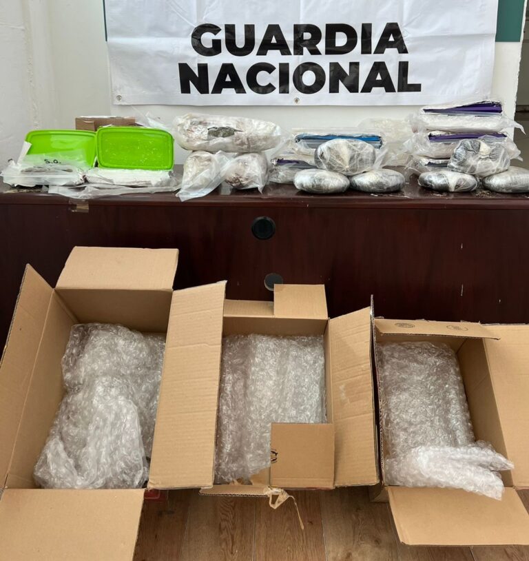 Binomios caninos de la GN detectaron diversos narcóticos en el Aeropuerto Internacional de Tijuana, Baja California *FOTOS GN