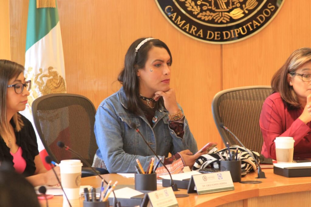 Diputada María Clemente presenta queja ante Conapred vs Mier, Gutiérrez Luna y Salma Luévano Foto: @MARIACLEMENTEMX