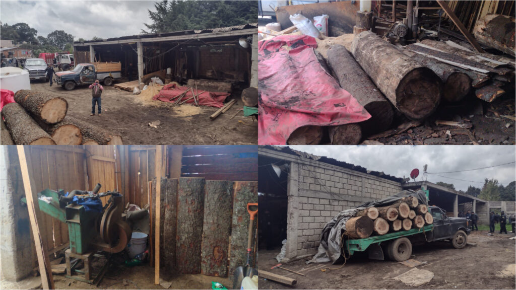 SECGOB aseguró 4 aserraderos clandestinos de madera en el Ajusco