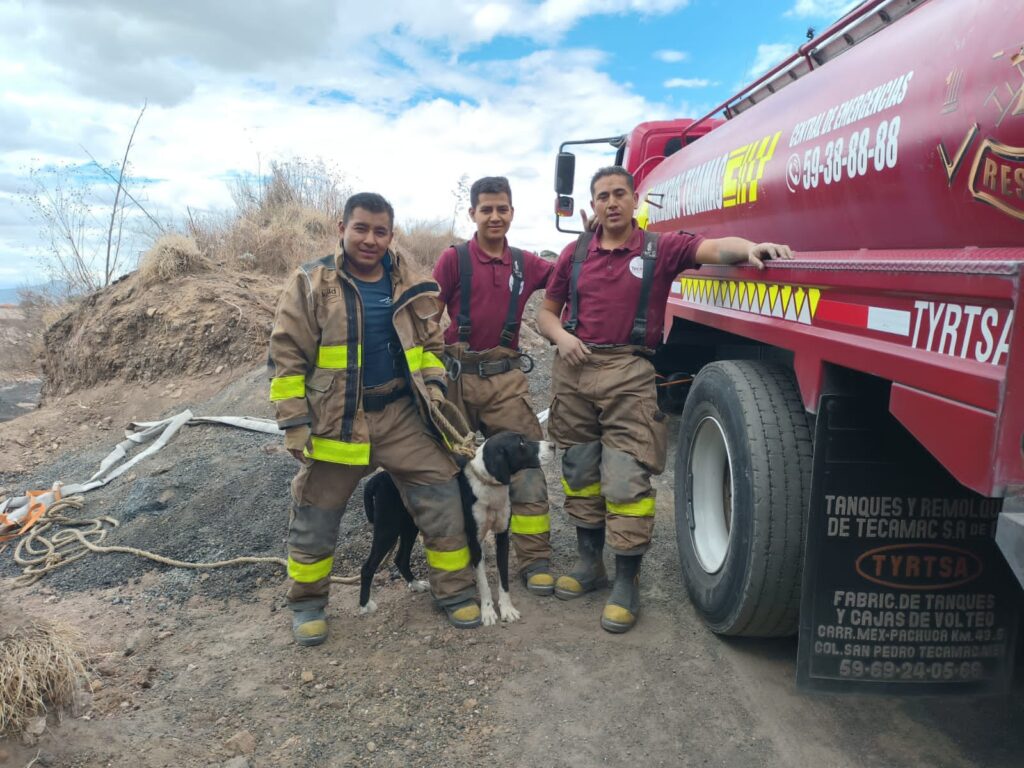 Elementos de Protección Civil y Bomberos, rescataron un perrito en la mina de “San Pablo Teacalco” *FOTOS & VIDEO AYTO. DE TECÁMAC
