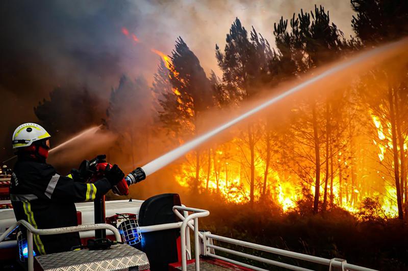 Miles de bomberos combaten incendios forestales en Europa Foto: AP