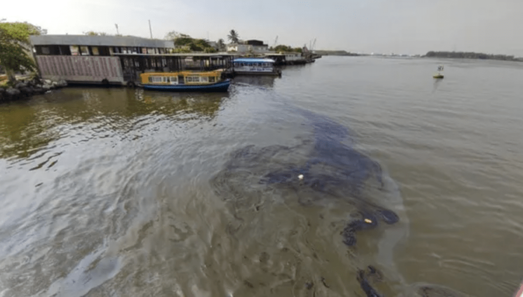 Pescadores denuncian derrames petroleros en norte y sur de Veracruz Foto: Milenio