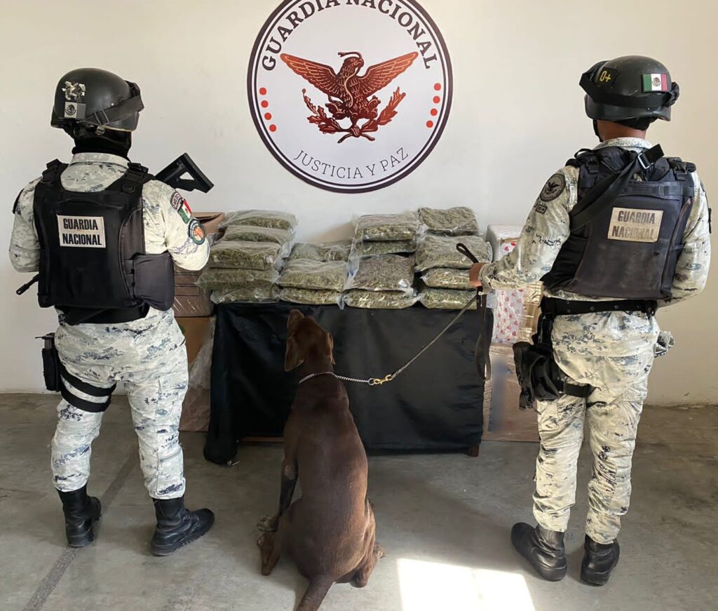 Guardia Nacional detectó 186 paquetes con marihuana en nueve estados del país *FOTOS GN