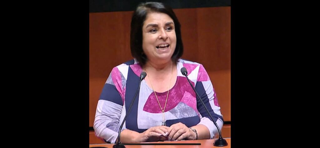 Por 14 días senadora de Morena, Antares Vázquez, ofrecerá disculpa a cuatro diputadas del PAN Foto: Internet