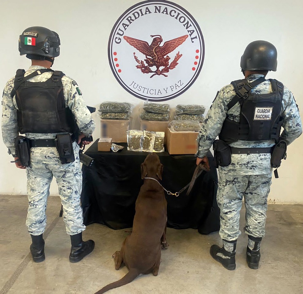 Guardia Nacional aseguró más de 200 paquetes con marihuana *FOTOS GN