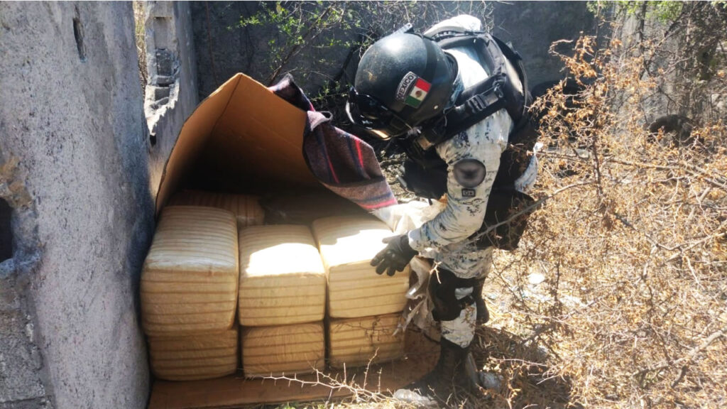 Aseguran más de 100 kilos de marihuana en predio abandonado en Nuevo León