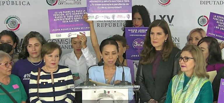 Piden colectivos feministas renuncia de Rosario Piedra por defender a deudores alimentarios