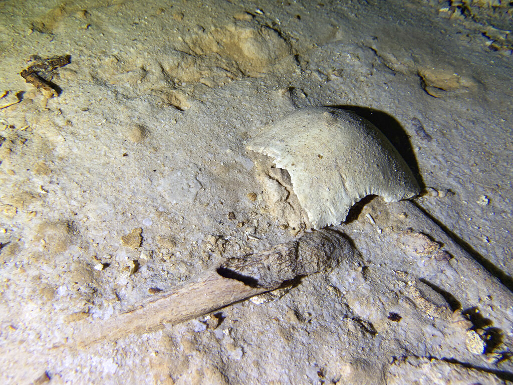 Encuentran esqueleto humano prehistórico en cenote amenazado por tren